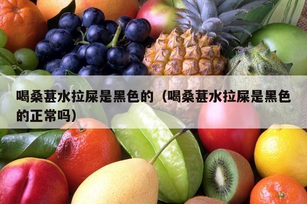 喝桑葚水拉屎是黑色的（喝桑葚水拉屎是黑色的正常吗）