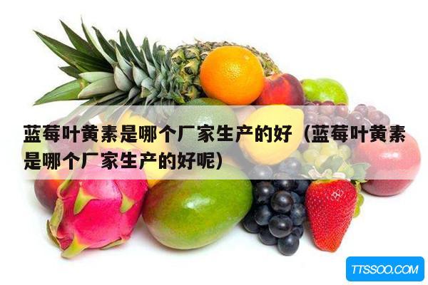 蓝莓叶黄素是哪个厂家生产的好（蓝莓叶黄素是哪个厂家生产的好呢）