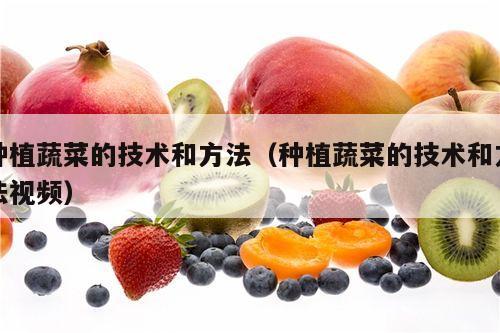 种植蔬菜的技术和方法（种植蔬菜的技术和方法视频）