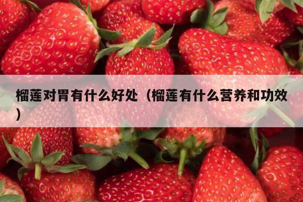 榴莲对胃有什么好处（榴莲有什么营养和功效）