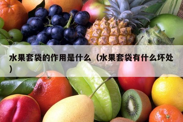 水果套袋的作用是什么（水果套袋有什么坏处）
