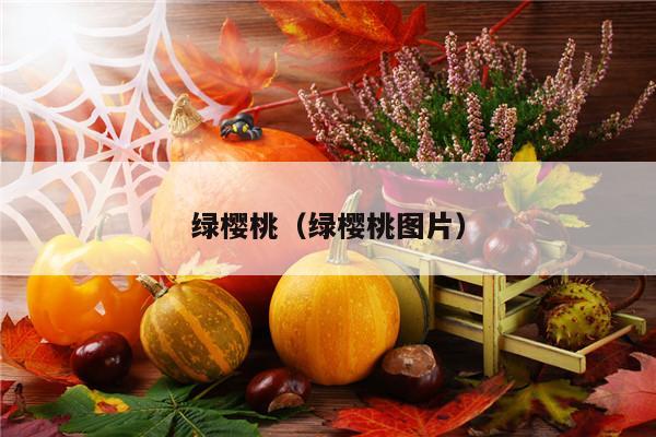 绿樱桃（绿樱桃图片）