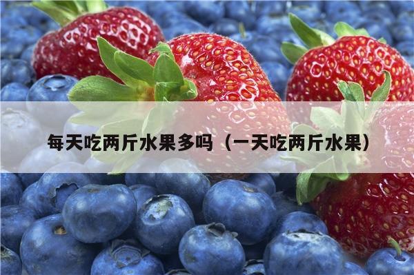 每天吃两斤水果多吗（一天吃两斤水果）