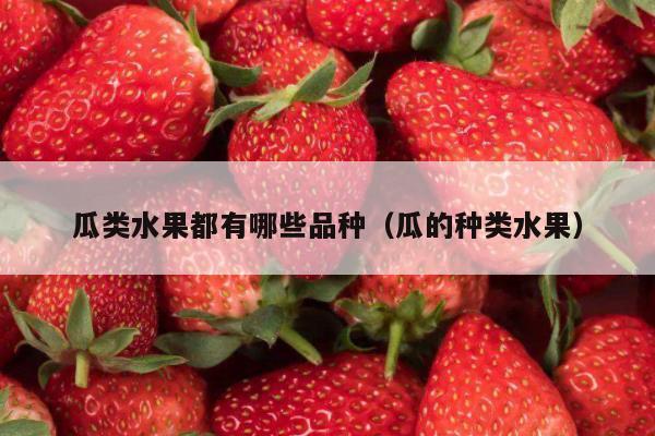 瓜类水果都有哪些品种（瓜的种类水果）