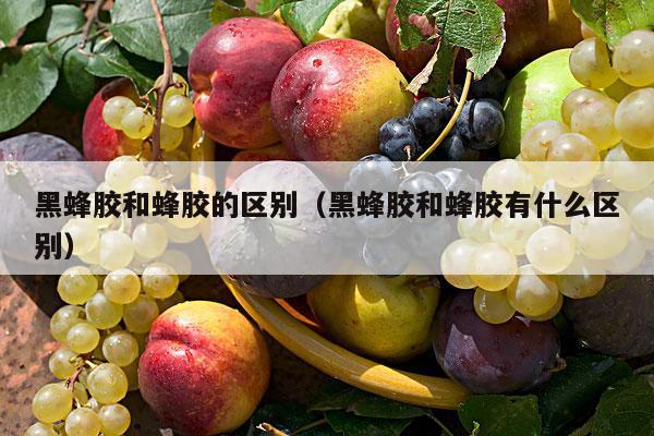 黑蜂胶和蜂胶的区别（黑蜂胶和蜂胶有什么区别）