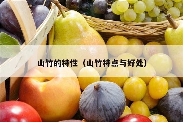 山竹的特性（山竹特点与好处）
