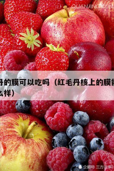 红毛丹的膜可以吃吗（红毛丹核上的膜能吃了会怎么样）