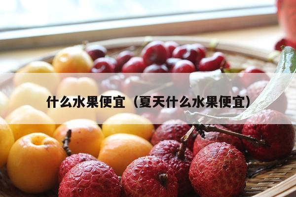 什么水果便宜（夏天什么水果便宜）