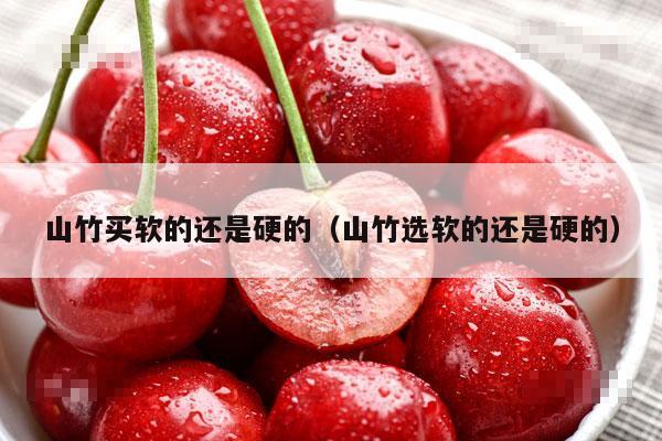 山竹买软的还是硬的（山竹选软的还是硬的）