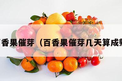 百香果催芽（百香果催芽几天算成熟）