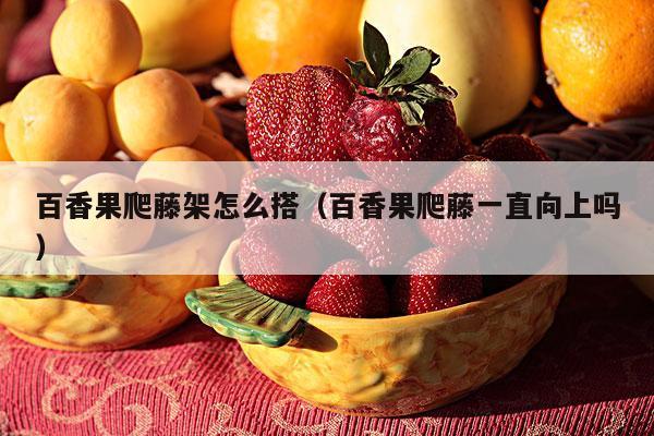百香果爬藤架怎么搭（百香果爬藤一直向上吗）