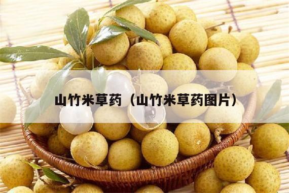 山竹米草药（山竹米草药图片）