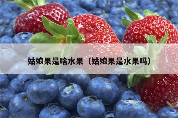 姑娘果是啥水果（姑娘果是水果吗）