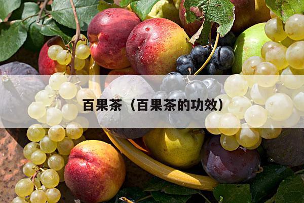 百果茶（百果茶的功效）