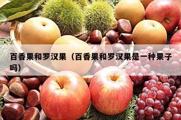 百香果和罗汉果（百香果和罗汉果是一种果子吗）