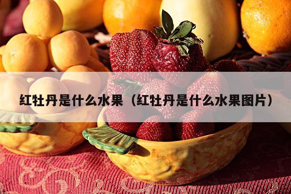 红牡丹是什么水果（红牡丹是什么水果图片）