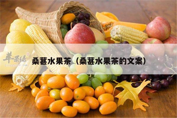 桑葚水果茶（桑葚水果茶的文案）
