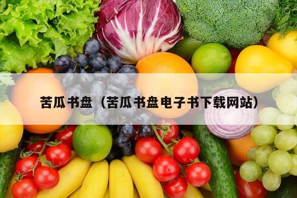 苦瓜书盘（苦瓜书盘电子书下载网站）