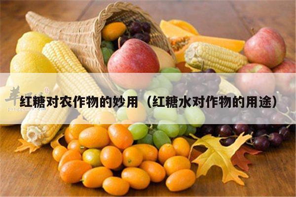 红糖对农作物的妙用（红糖水对作物的用途）