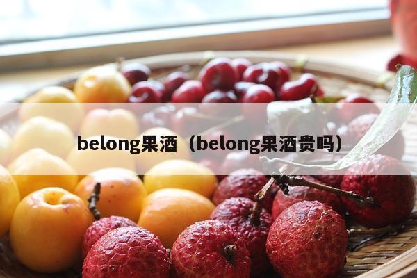 belong果酒（belong果酒贵吗）