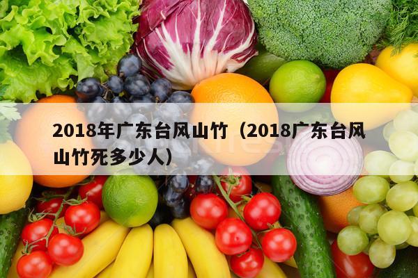 2018年广东台风山竹（2018广东台风山竹死多少人）