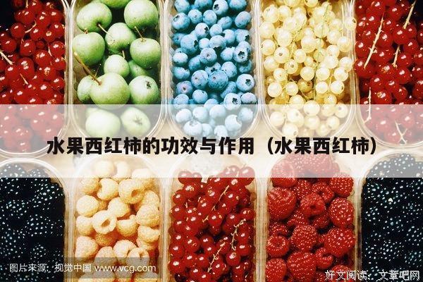 水果西红柿的功效与作用（水果西红柿）
