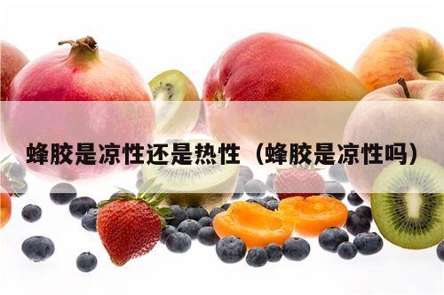 蜂胶是凉性还是热性（蜂胶是凉性吗）