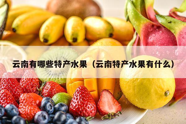 云南有哪些特产水果（云南特产水果有什么）