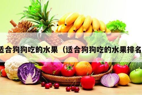 适合狗狗吃的水果（适合狗狗吃的水果排名）