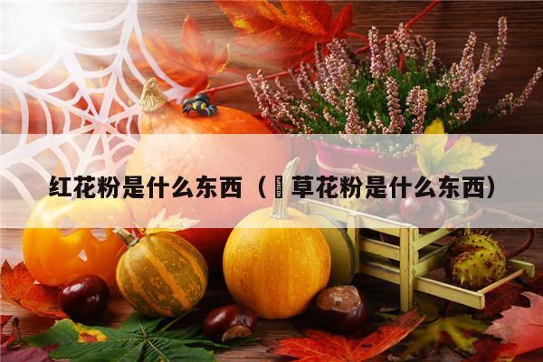 红花粉是什么东西（葎草花粉是什么东西）