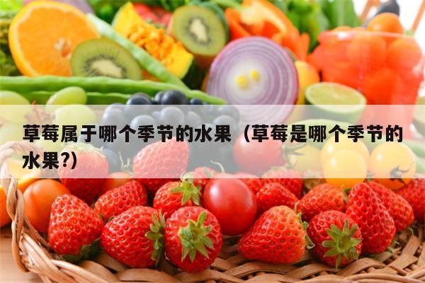 草莓属于哪个季节的水果（草莓是哪个季节的水果?）