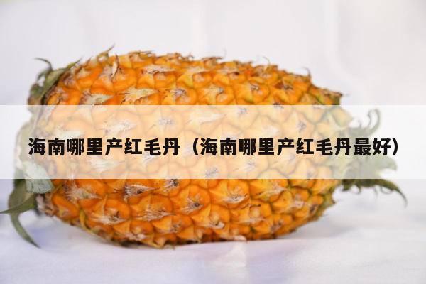 海南哪里产红毛丹（海南哪里产红毛丹最好）