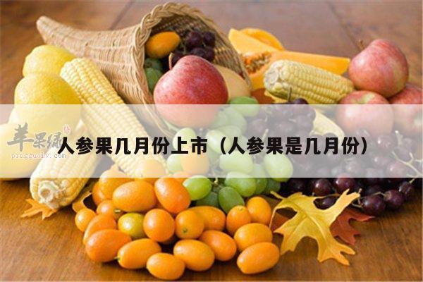人参果几月份上市（人参果是几月份）