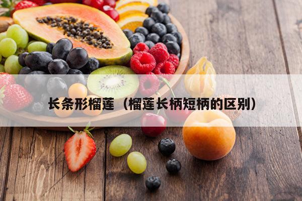 长条形榴莲（榴莲长柄短柄的区别）