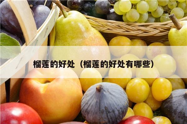 榴莲的好处（榴莲的好处有哪些）
