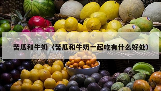 苦瓜和牛奶（苦瓜和牛奶一起吃有什么好处）