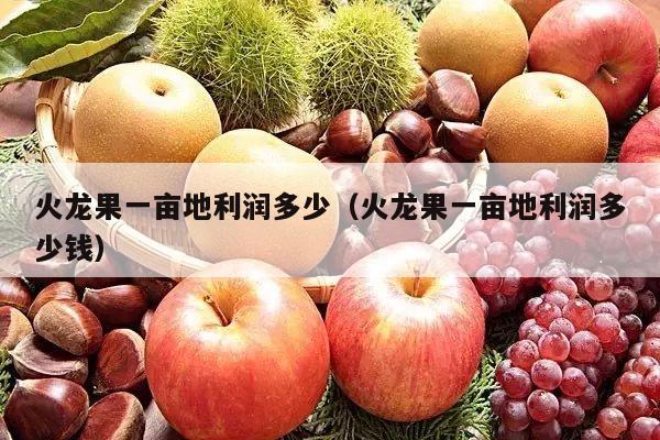 火龙果一亩地利润多少（火龙果一亩地利润多少钱）