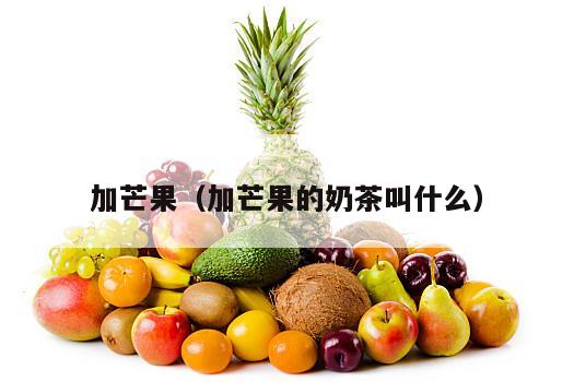 加芒果（加芒果的奶茶叫什么）