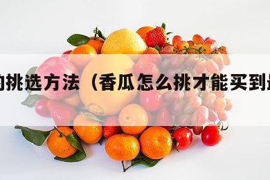 香瓜的挑选方法（香瓜怎么挑才能买到最甜的）