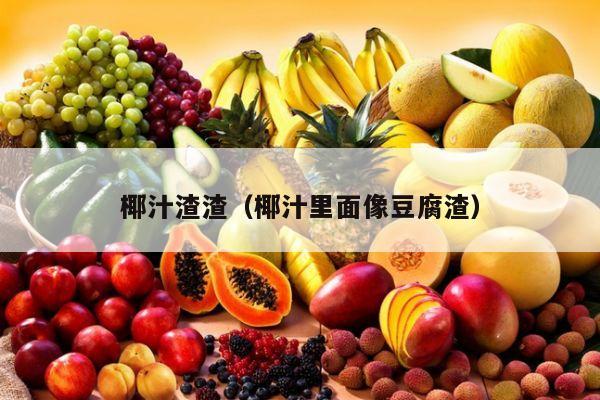 椰汁渣渣（椰汁里面像豆腐渣）