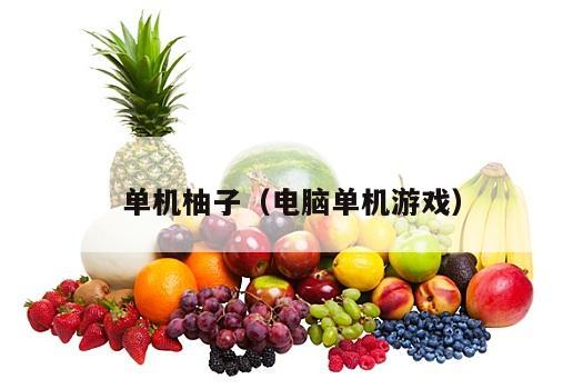 单机柚子（电脑单机游戏）