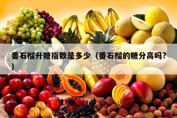 番石榴升糖指数是多少（番石榴的糖分高吗?）