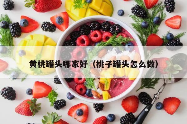 黄桃罐头哪家好（桃子罐头怎么做）