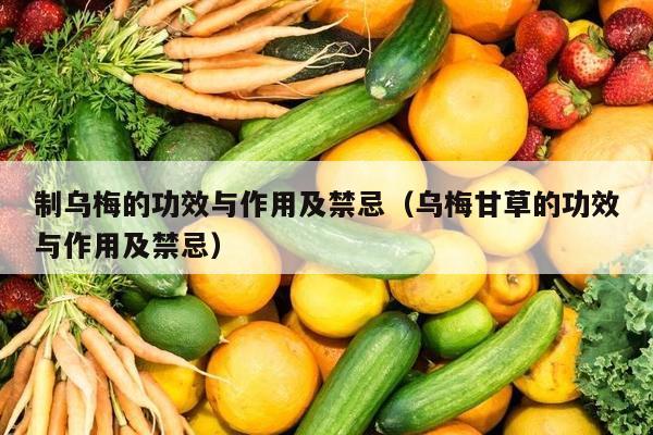 制乌梅的功效与作用及禁忌（乌梅甘草的功效与作用及禁忌）