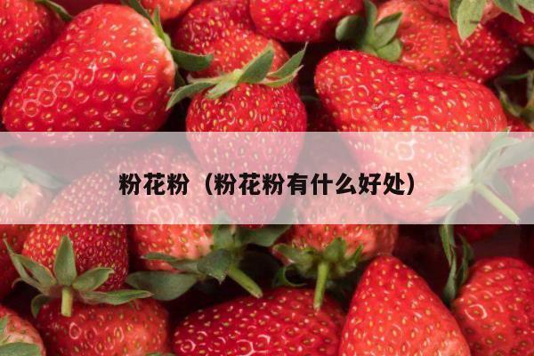 粉花粉（粉花粉有什么好处）