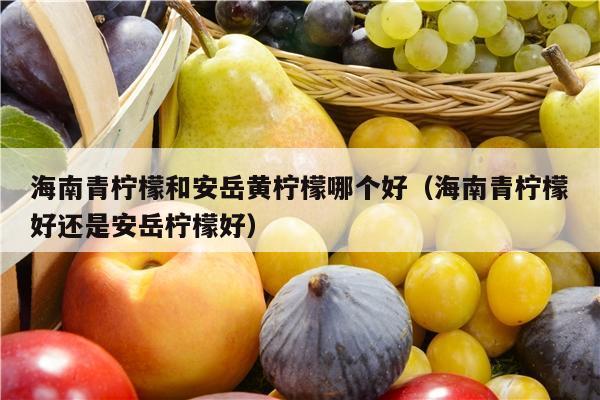 海南青柠檬和安岳黄柠檬哪个好（海南青柠檬好还是安岳柠檬好）