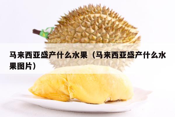 马来西亚盛产什么水果（马来西亚盛产什么水果图片）