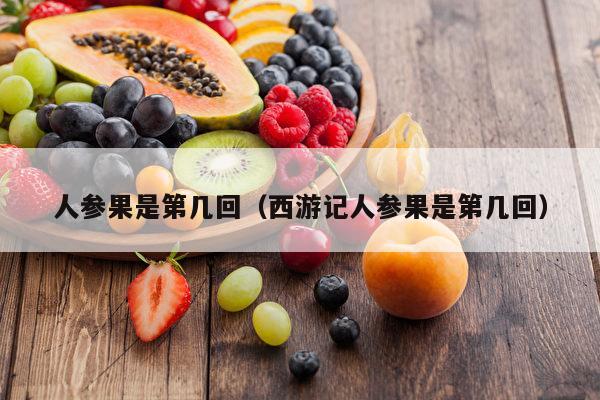 人参果是第几回（西游记人参果是第几回）