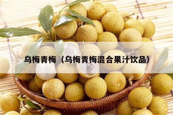 乌梅青梅（乌梅青梅混合果汁饮品）