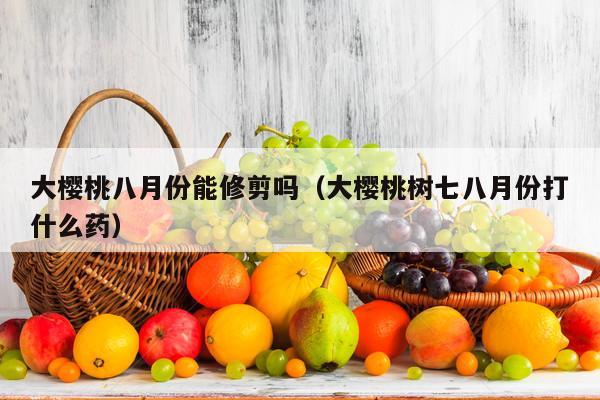 大樱桃八月份能修剪吗（大樱桃树七八月份打什么药）